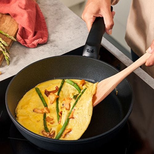 Fissler_levital_plus_comfort_IU